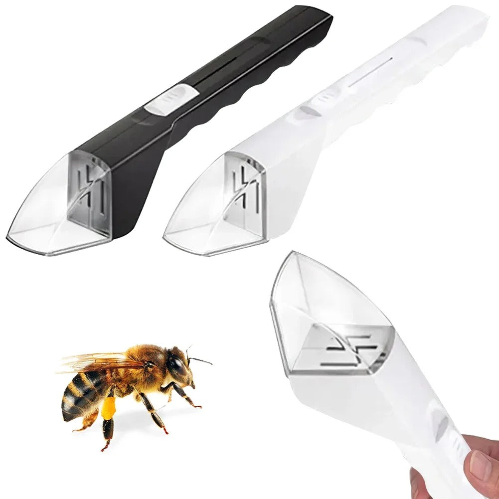 BugBuddies - Bug Catcher