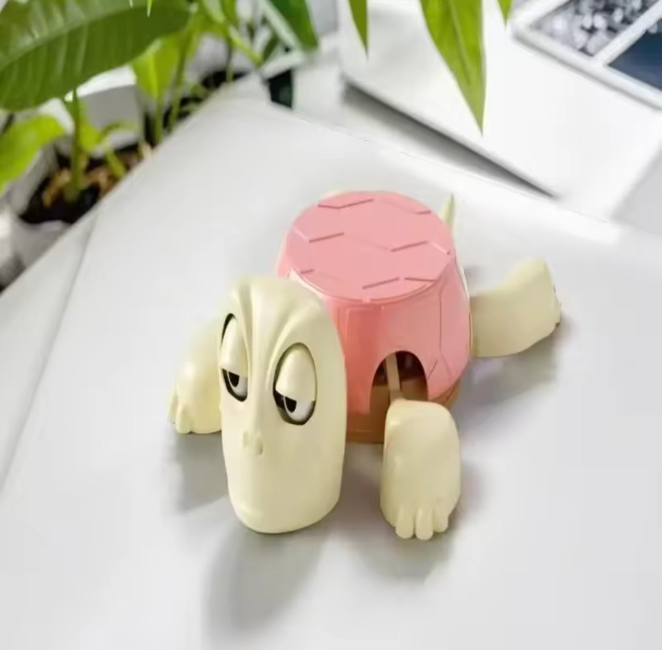 Shell Shocked - Turtle Coaster