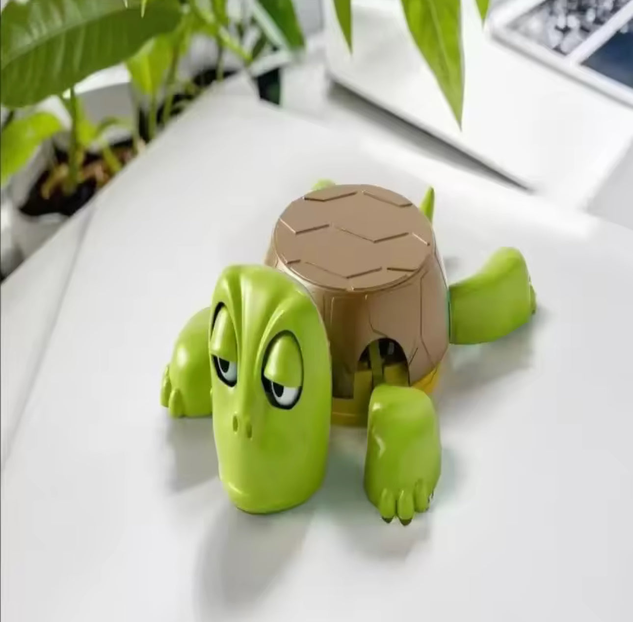Shell Shocked - Turtle Coaster