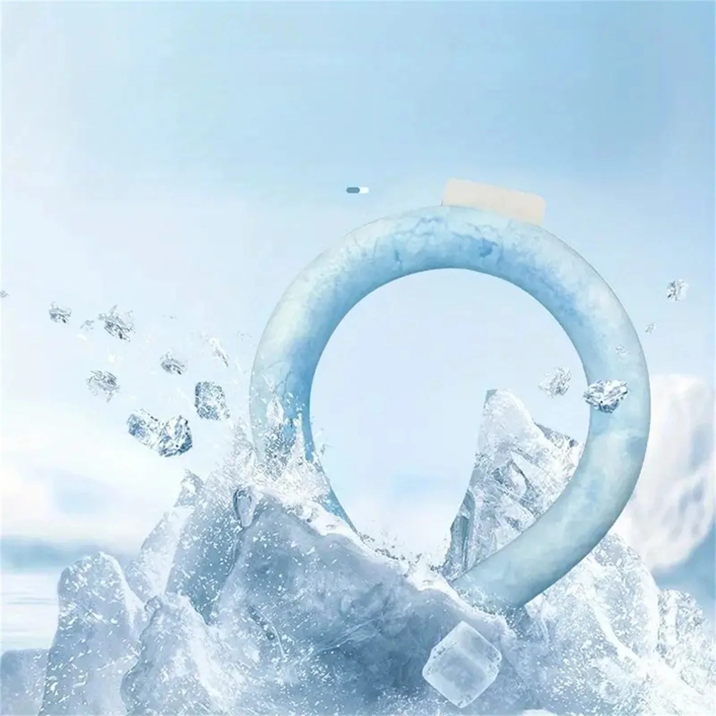 The ArcticLoop